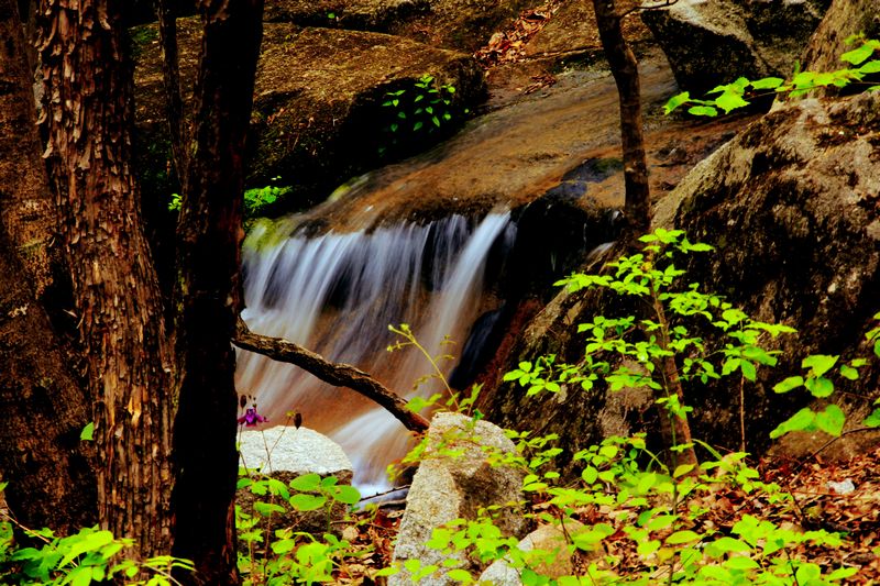 _mg_7620.jpg