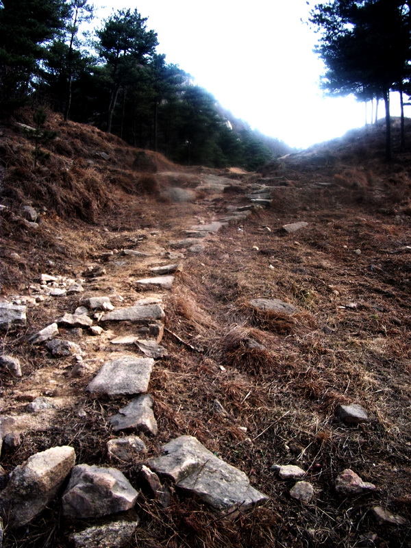 dscf0317.jpg