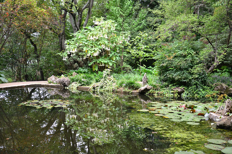 dsc_0519.jpg