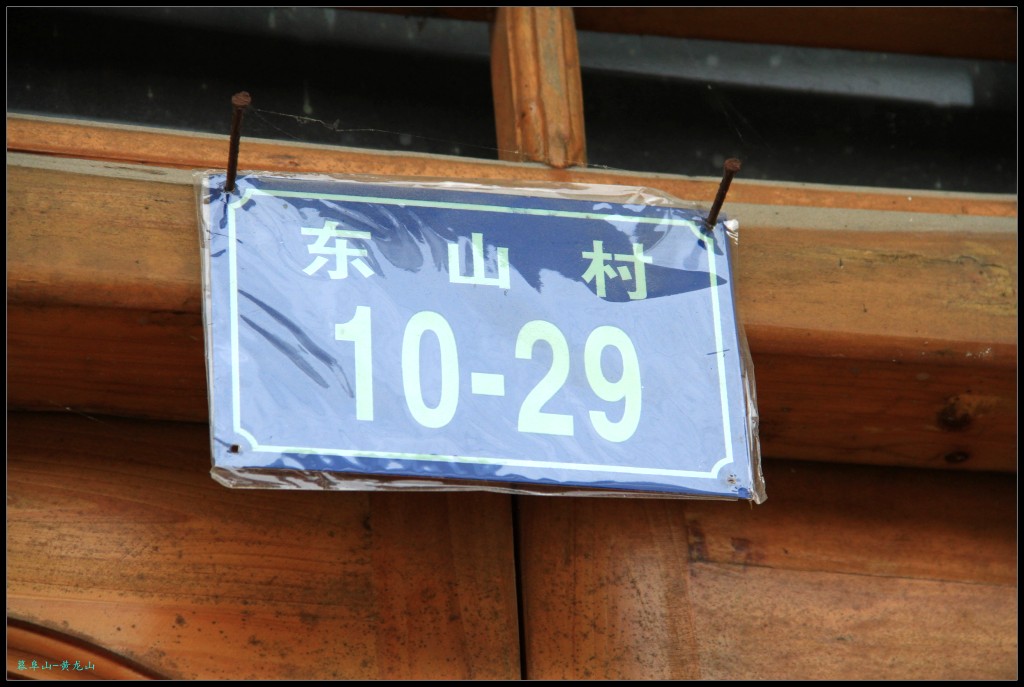 conew_img_5601.jpg