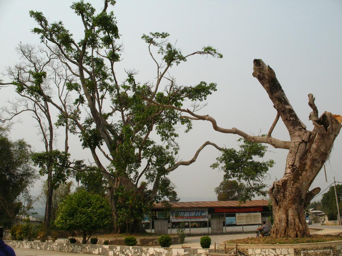 266.jpg