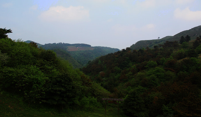 img_0763.jpg