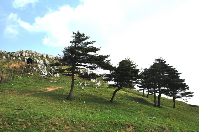 neo_img_dsc_0504.jpg