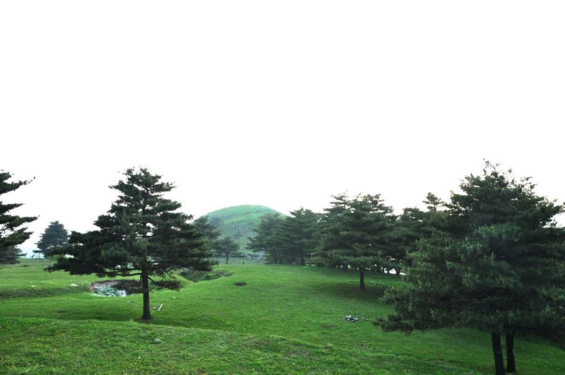 neo_img_dsc_0686.jpg