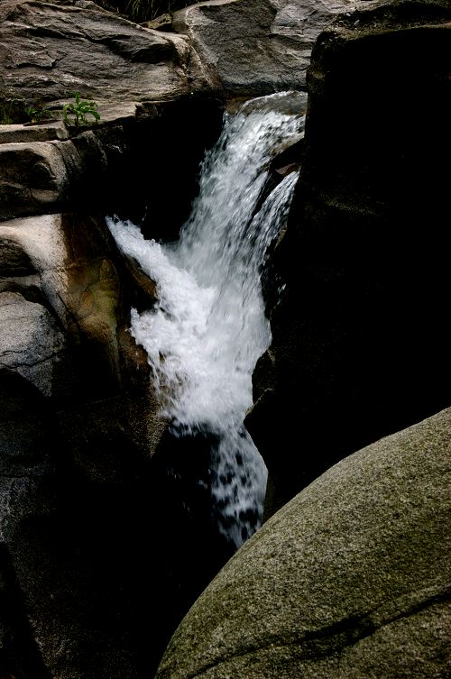 dsc00125.jpg
