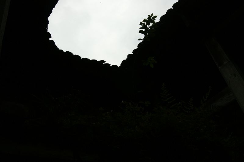 dsc00144.jpg