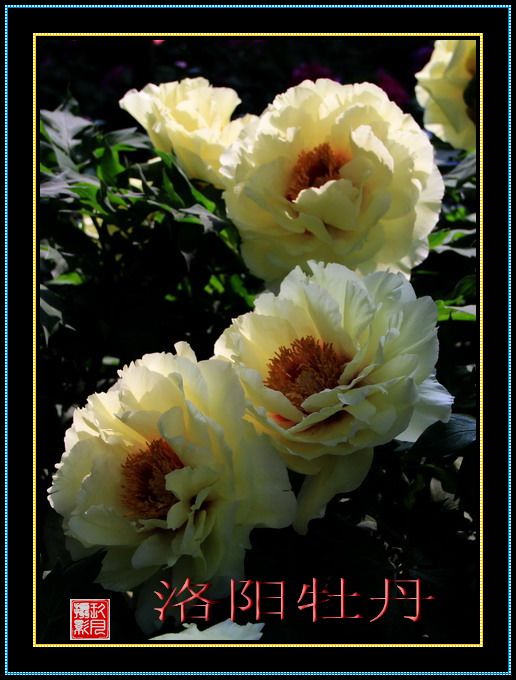 img_2182_СС.jpg