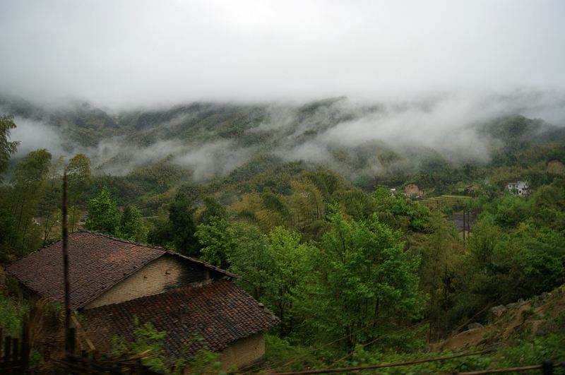 dsc00172.jpg
