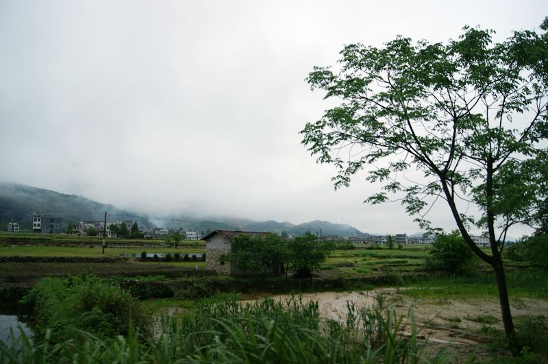 dsc00247.jpg