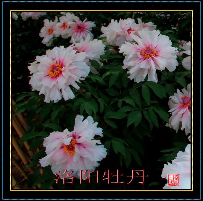 img_2027_СС.jpg