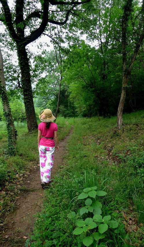 p1000186.jpg