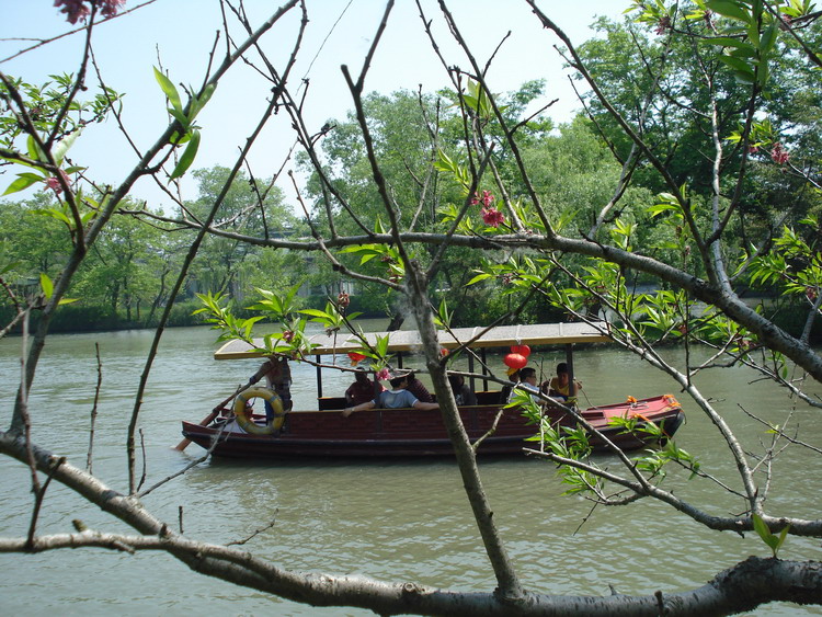 dsc08551.jpg