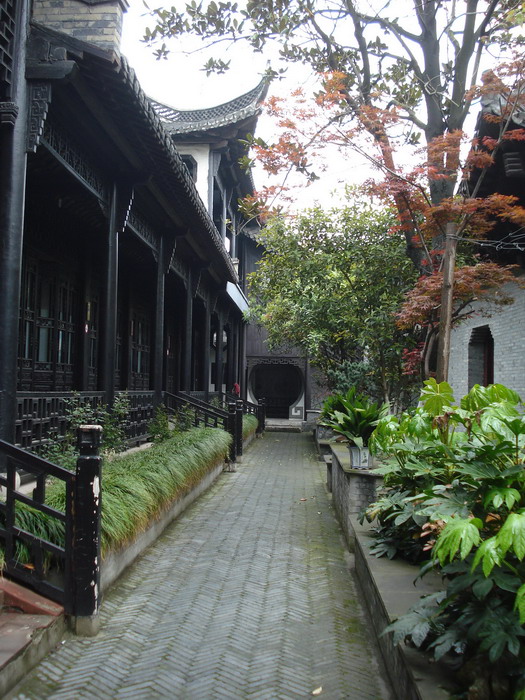 dsc08317.jpg