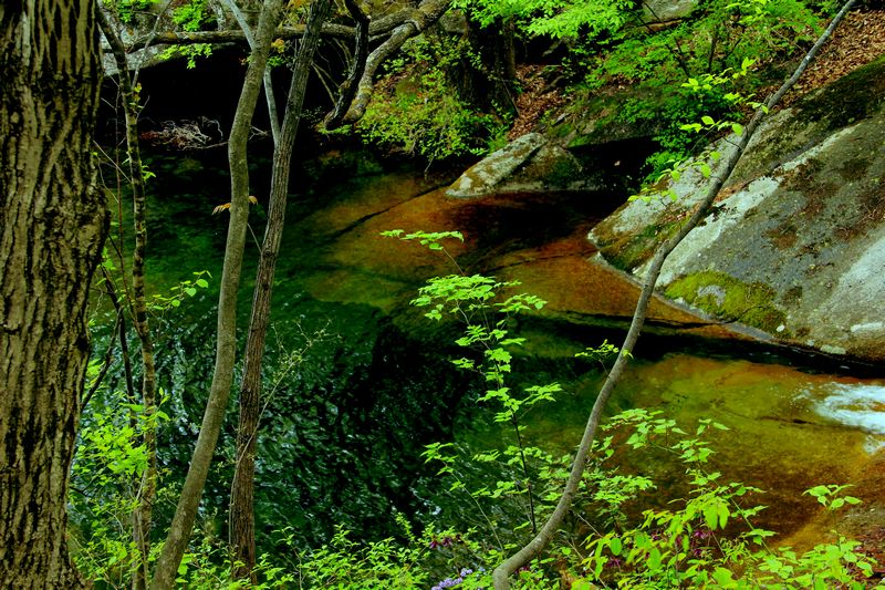 _mg_7632.jpg
