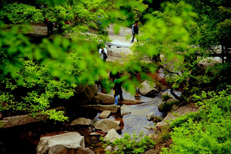 _mg_7687.jpg