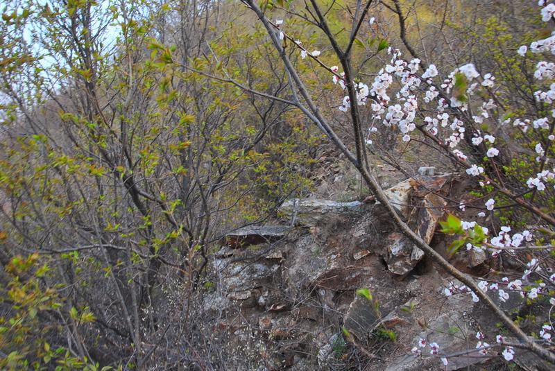 20120429һ۵_092_С.jpg