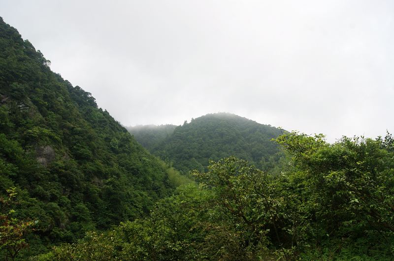 dsc00916.jpg