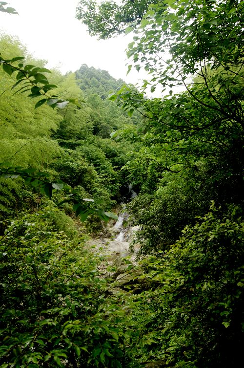 dsc00918.jpg