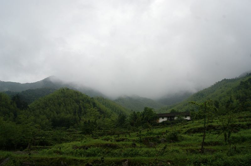dsc00921.jpg
