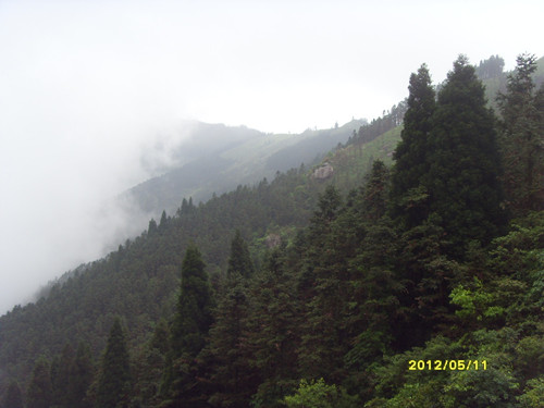 sdc13776__.jpg