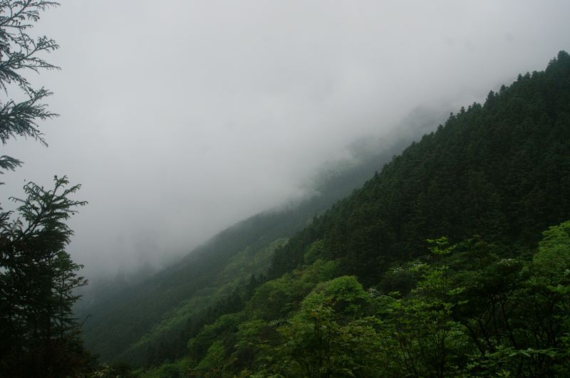 dsc00945.jpg