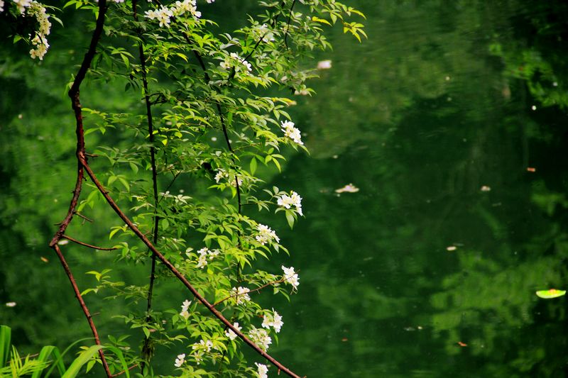 _mg_7937.jpg