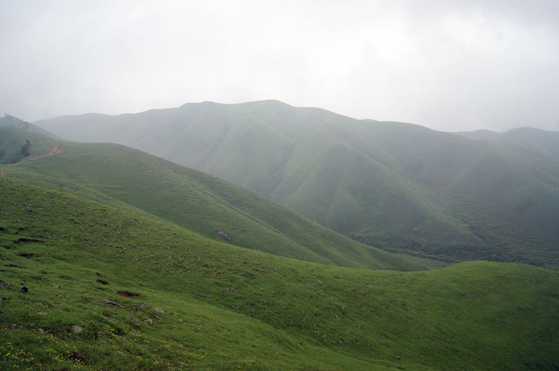 dsc00962.jpg
