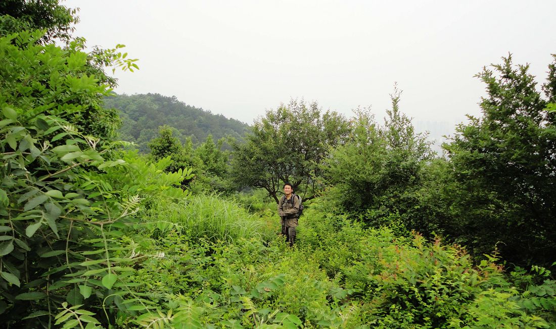 neo_img_dsc06908.jpg