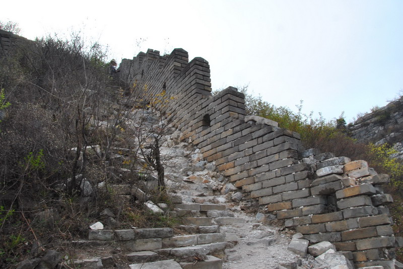 20120429һ۵_499_С.jpg