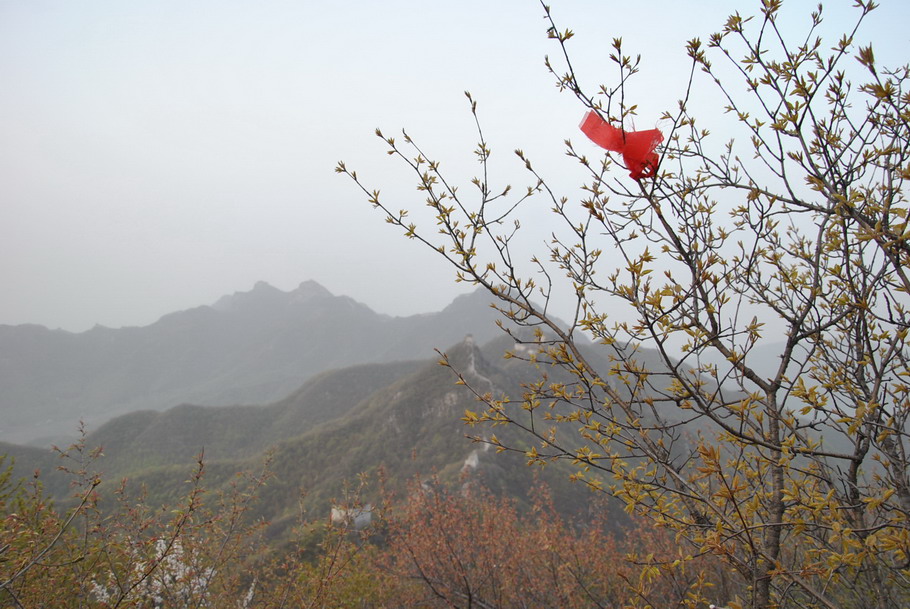 20120429һ۵_049.jpg