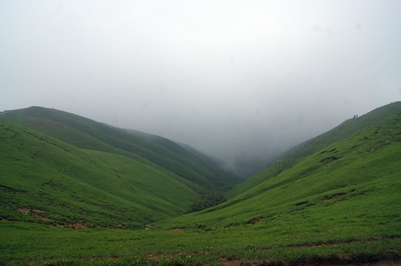 dsc00985.jpg