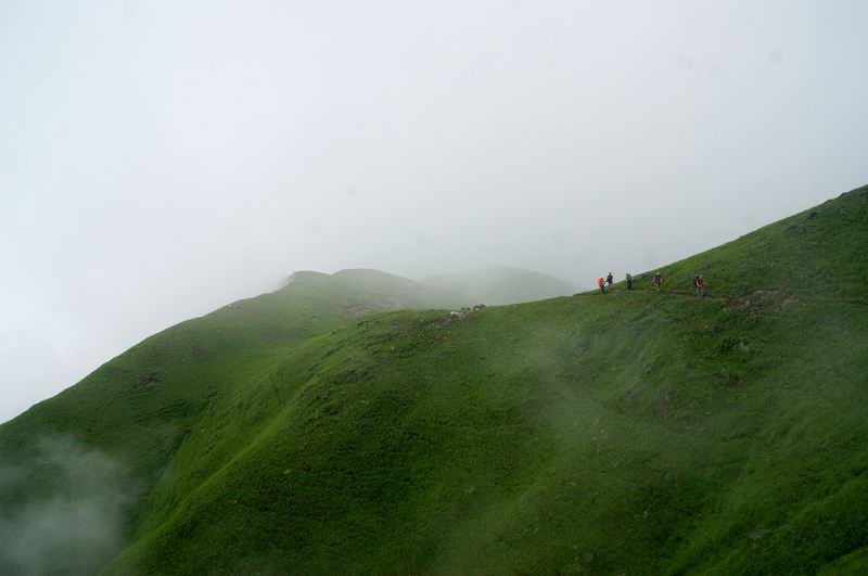dsc00988.jpg