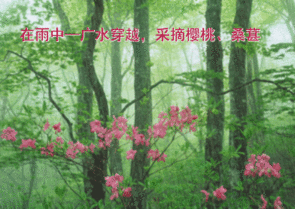 557.gif