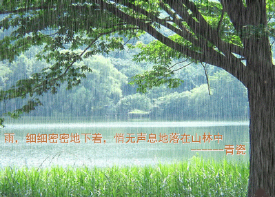 559.gif
