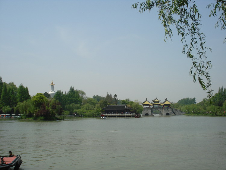 dsc08562.jpg
