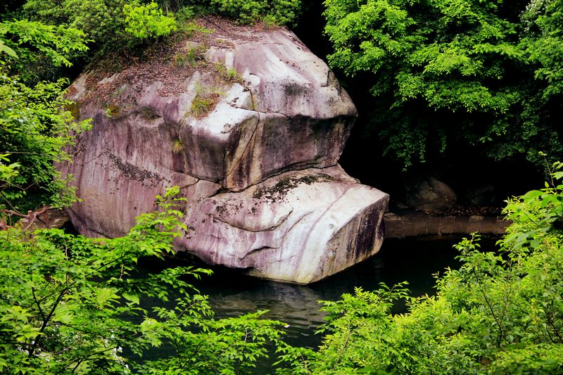 _mg_8571.jpg