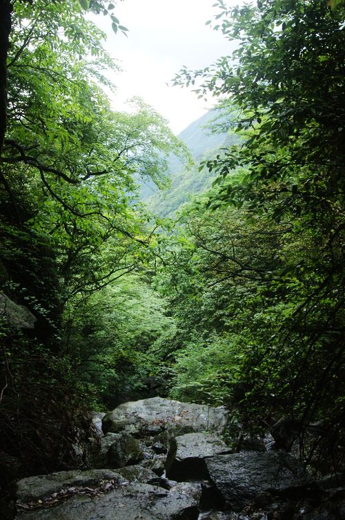 dsc01078.jpg