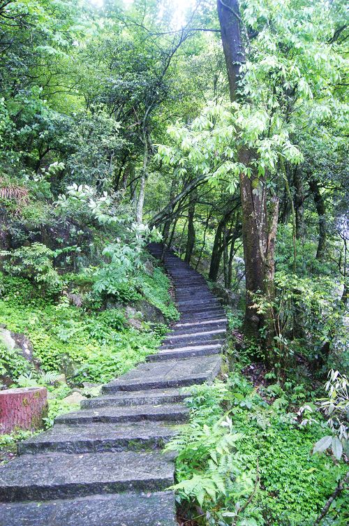 dsc01081.jpg