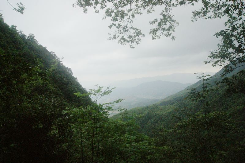 dsc01093.jpg