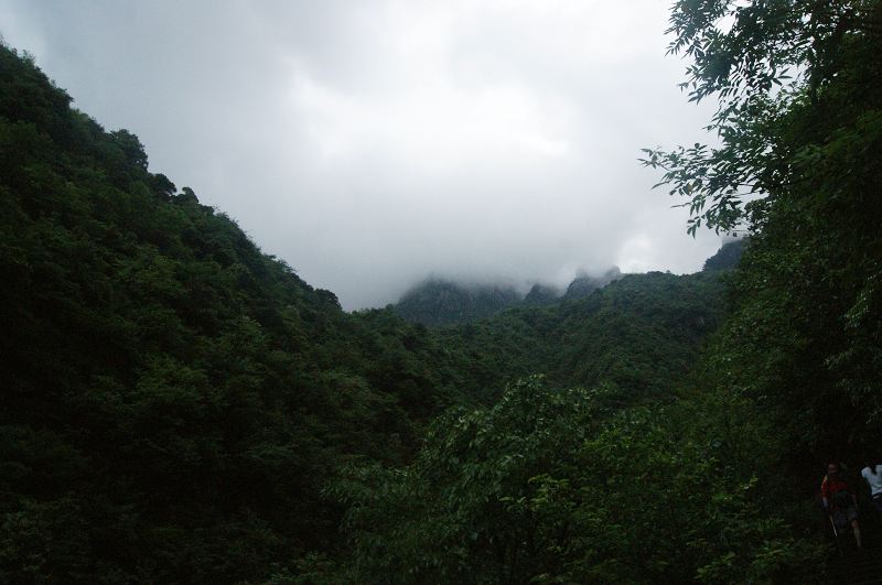 dsc01112.jpg