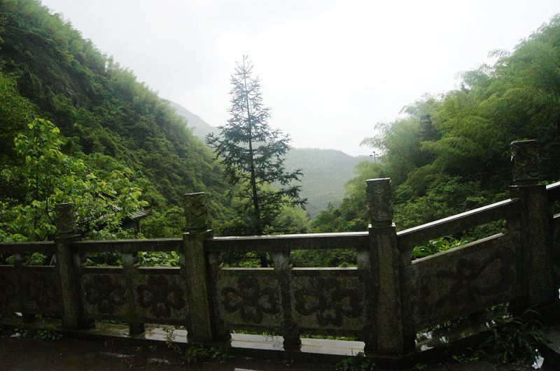 dsc01118.jpg