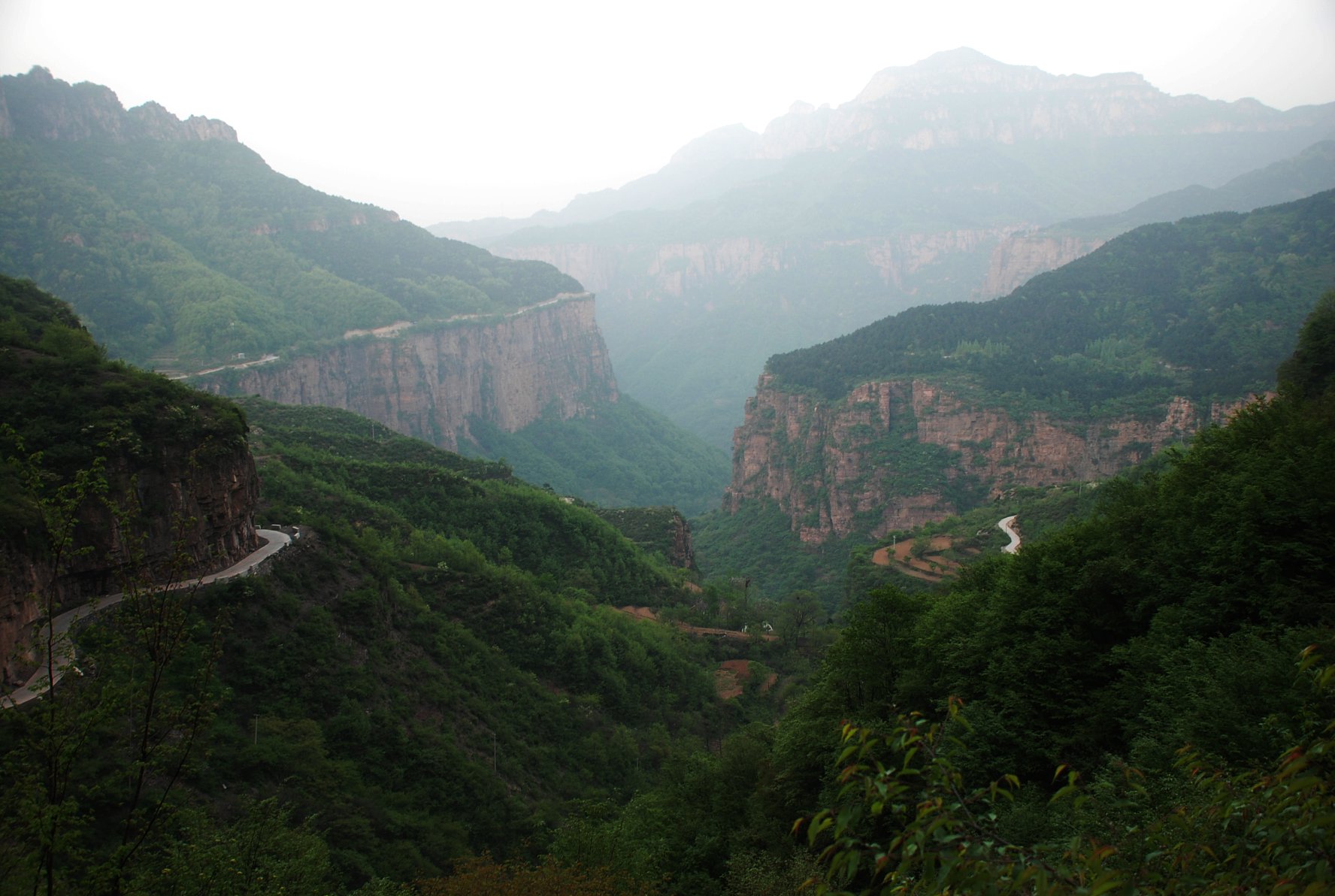çdsc_6235.jpg