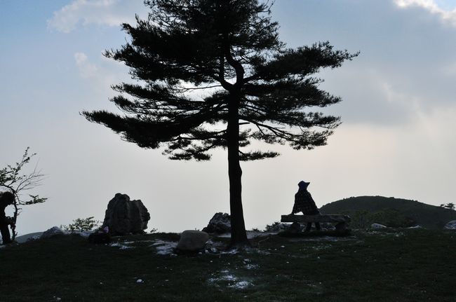 dsc_0320.jpg