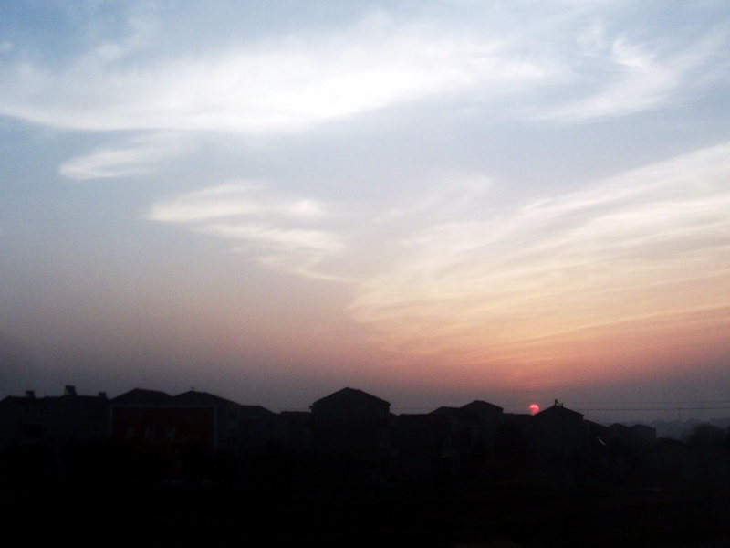 dscf0475.jpg