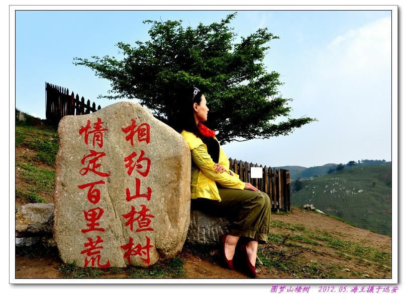 neo_img_dsc_0295.jpg