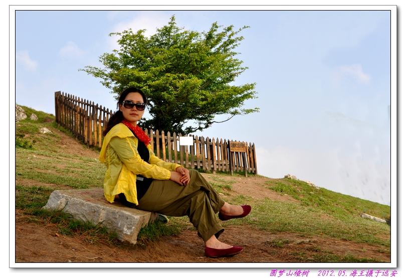 neo_img_dsc_0290.jpg