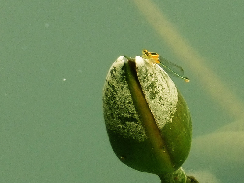 2012513˯ 025_.jpg