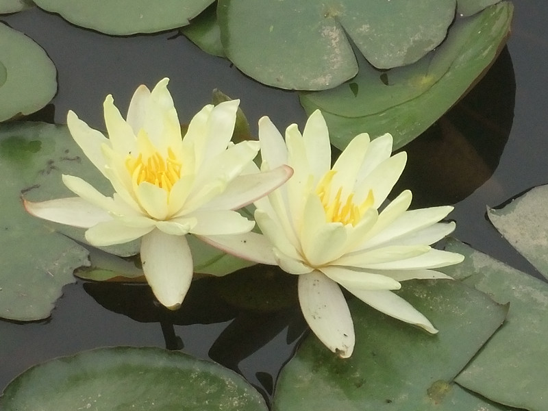 2012513˯ 039_.jpg