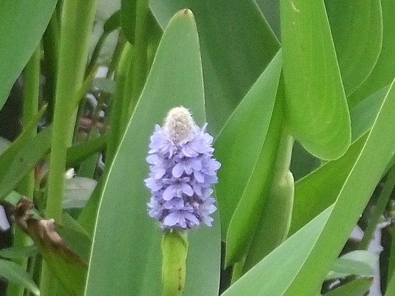 2012513˯ 048_.jpg