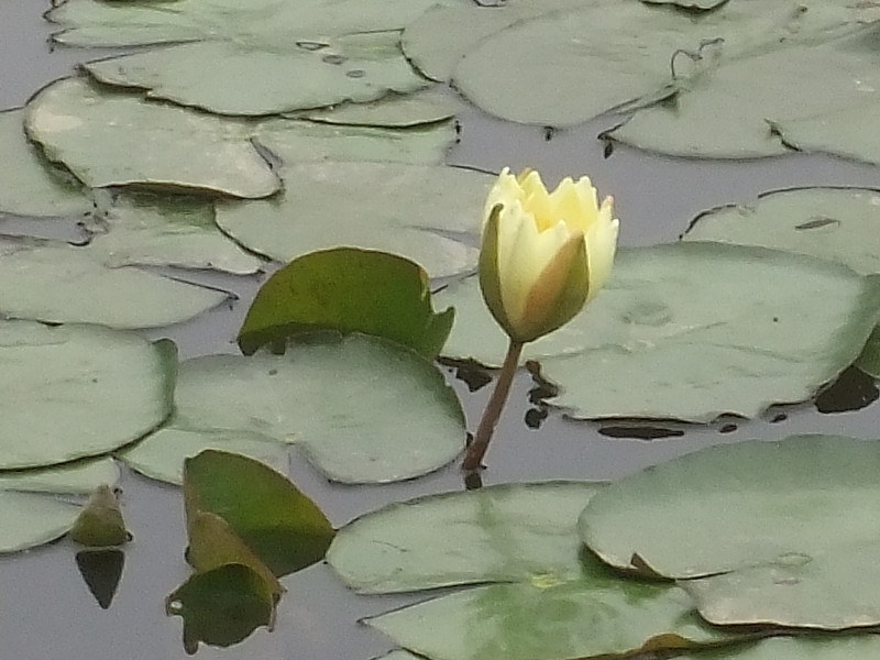 2012513˯ 044_.jpg